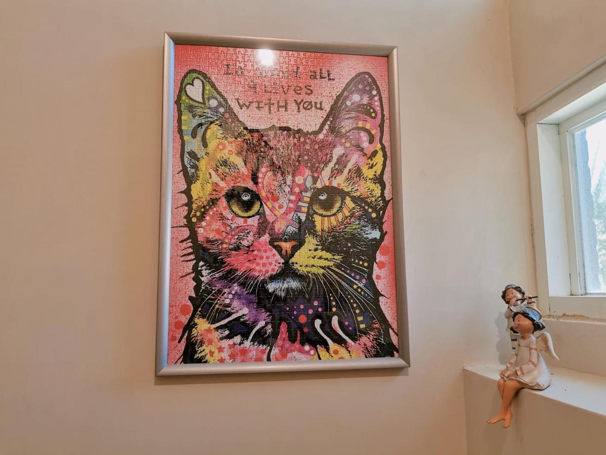 เบโต นัมเบอร์ 117 โฮเต็ล Bed & Breakfast หลัวตง ภายนอก รูปภาพ